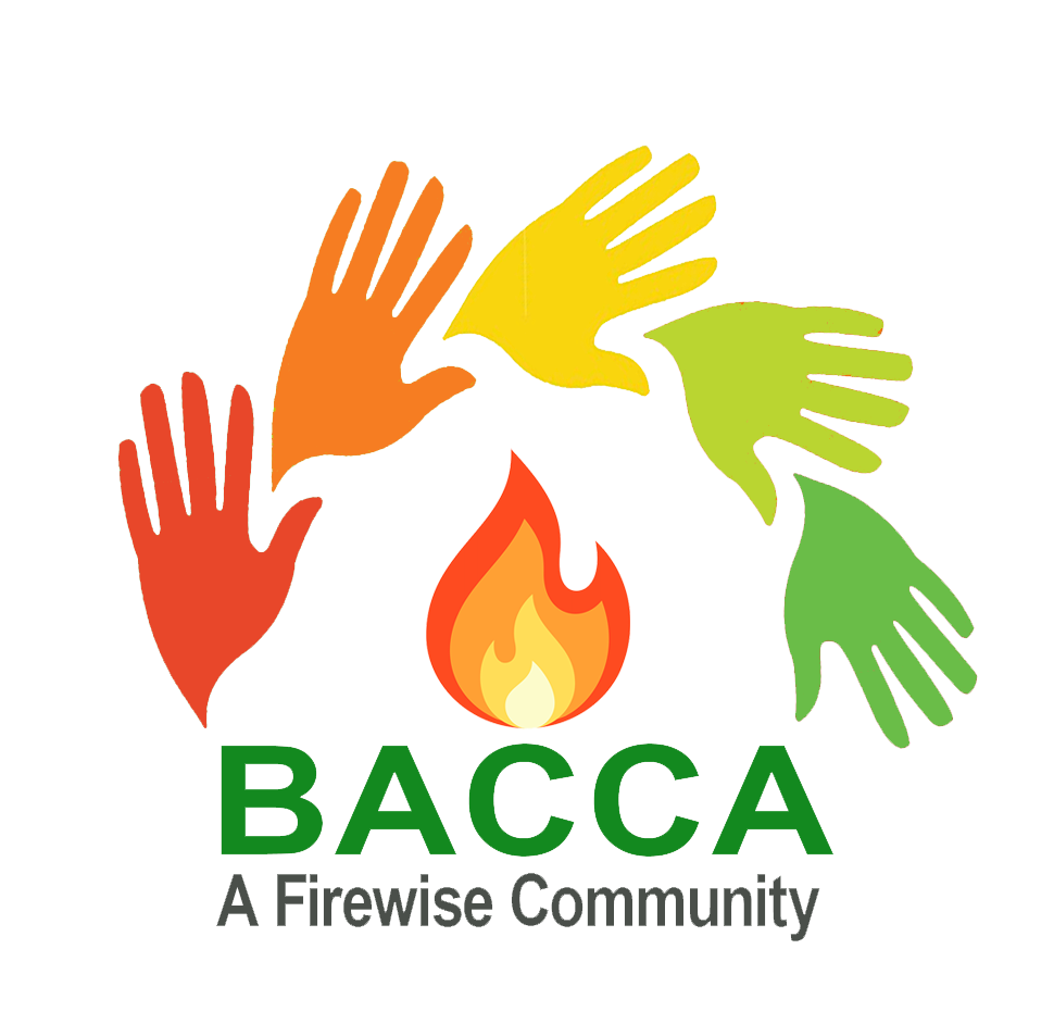 BACCA Logo